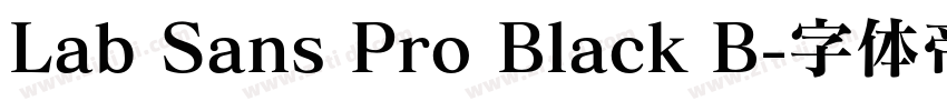Lab Sans Pro Black B字体转换